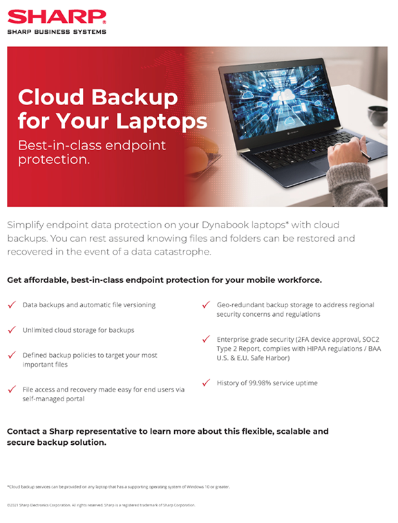 Cloud Backup Services Flyer for Your Laptops PDF