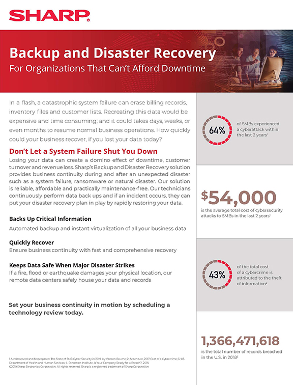 Disaster and Recovery Image